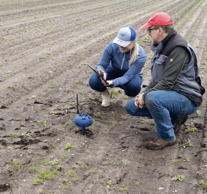 Nemzeti Ménesbirtok és Tangazdaság
